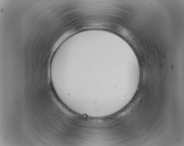 X0000064731370200603131242