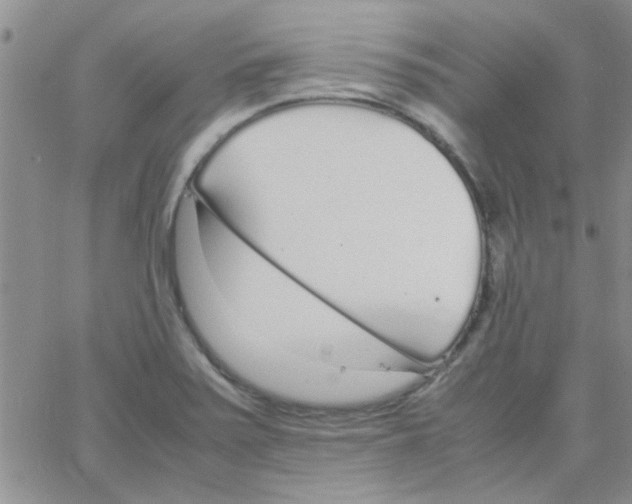 X0000064731371200603131242