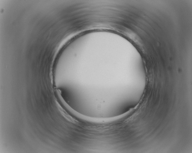 X0000064731372200603131242