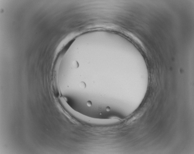 X0000064731373200603131242