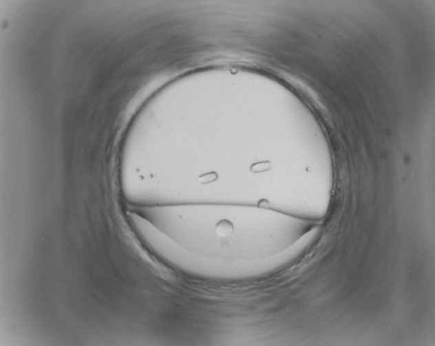 X0000064731375200603131242