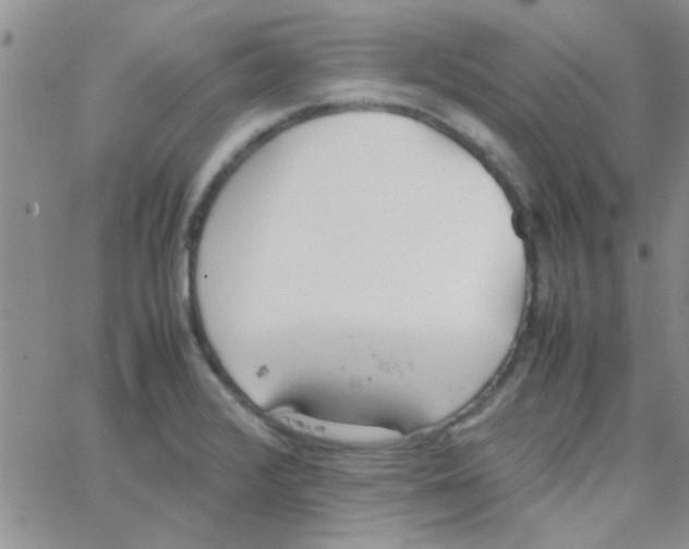 X0000064731376200603131242