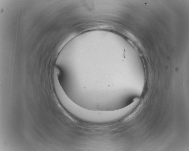 X0000064731377200603131242