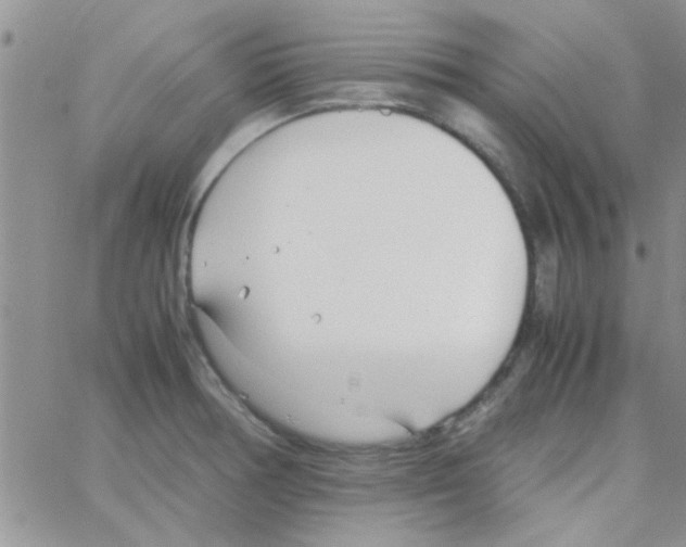 X0000064731378200603131242