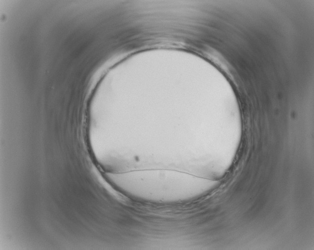 X0000064731379200603131242