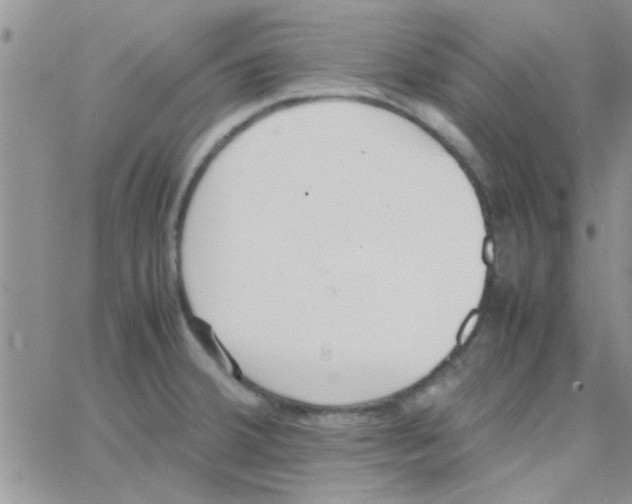 X0000064731380200603131242