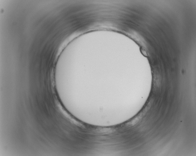 X0000064731382200603131242