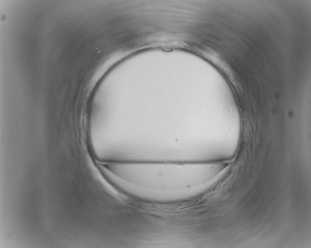 X0000064731383200603131242