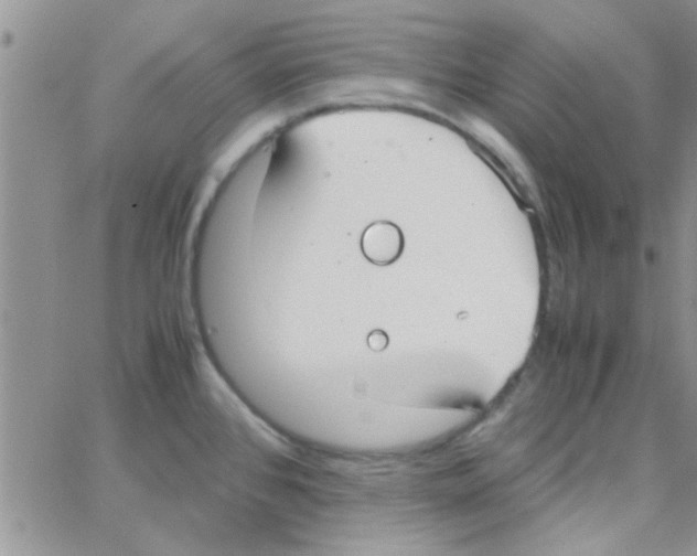 X0000064731384200603131242