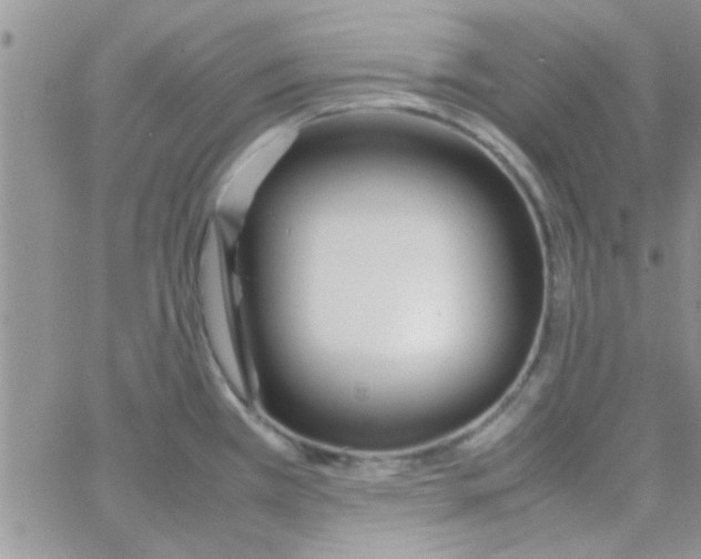 X0000064731385200603131242