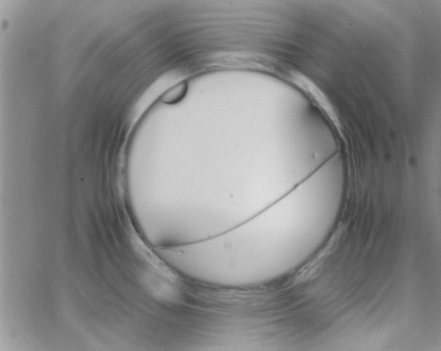 X0000064731386200603131242