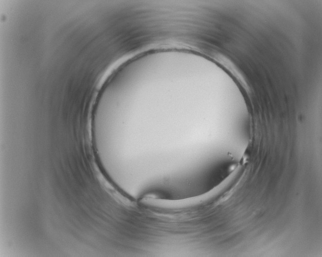 X0000064731388200603131242