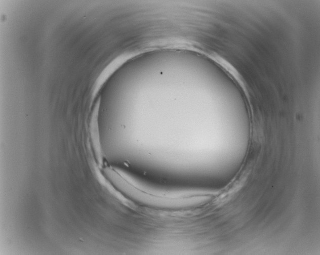 X0000064731389200603131242