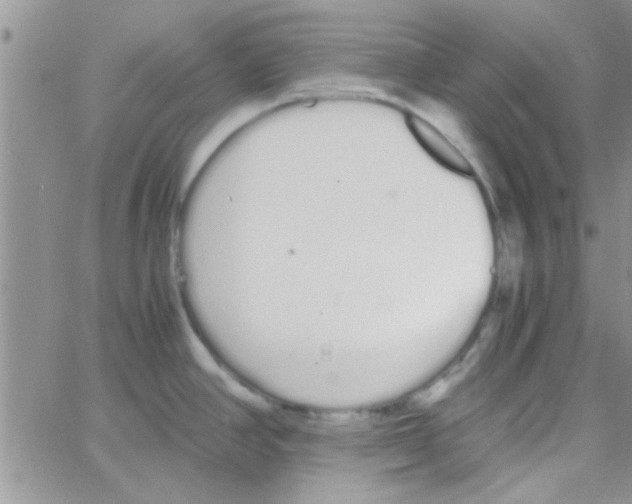 X0000064731390200603131242