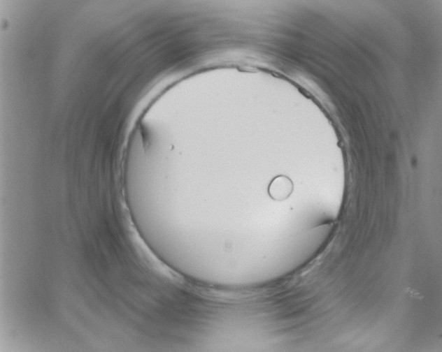 X0000064731392200603131242