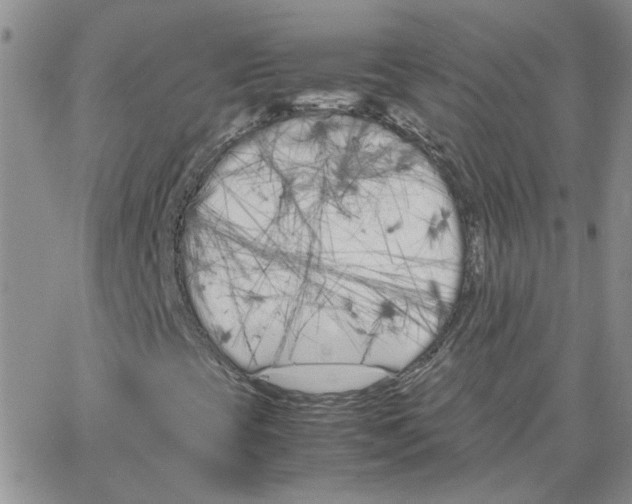 X0000064731393200603131241