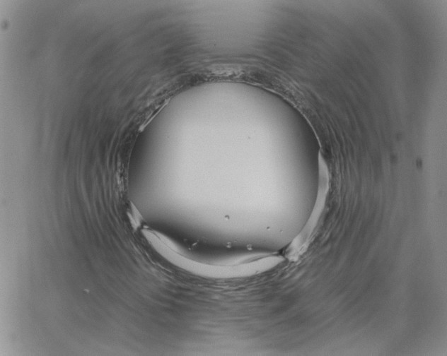 X0000064731394200603131241