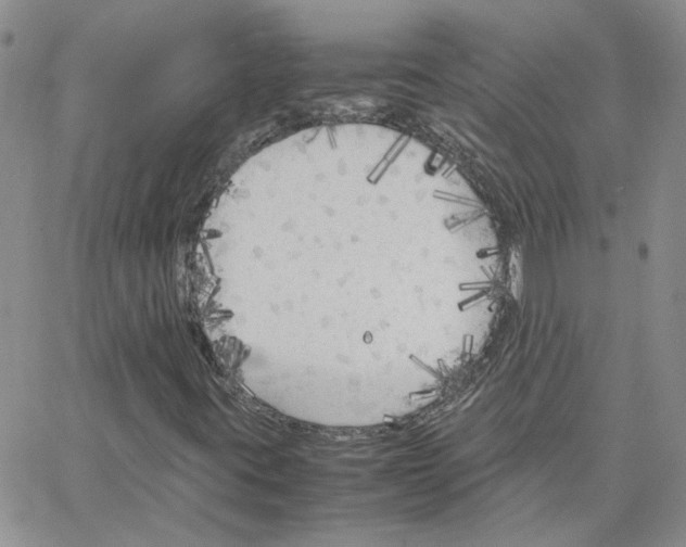 X0000064731395200603131241