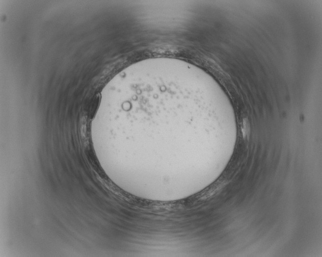 X0000064731396200603131241