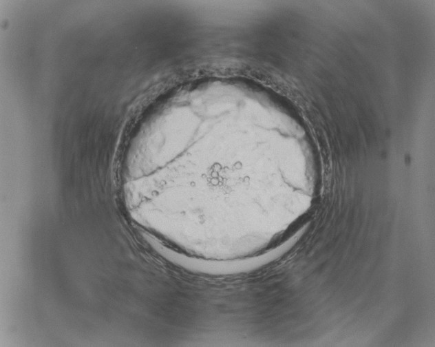 X0000064731397200603131241