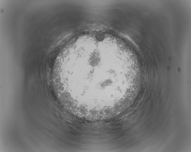 X0000064731399200603131241