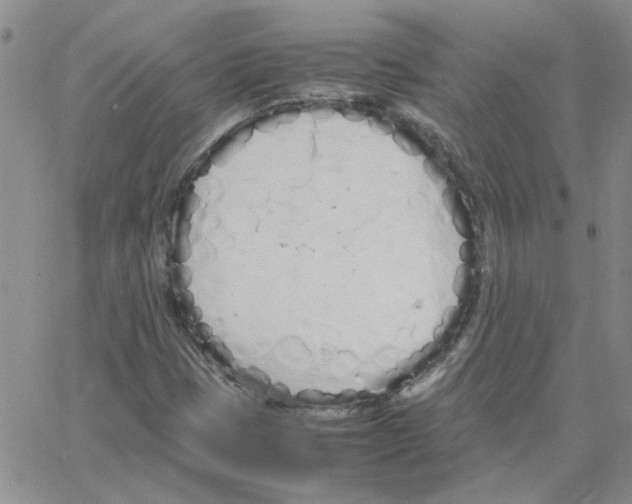 X0000064731401200603131241