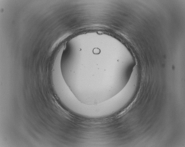 X0000064731402200603131241