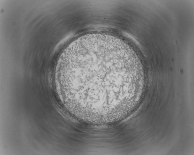 X0000064731403200603131241