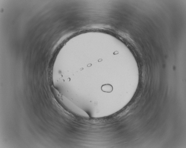 X0000064731404200603131241