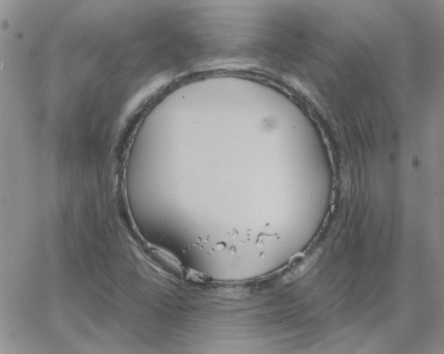 X0000064731406200603131241