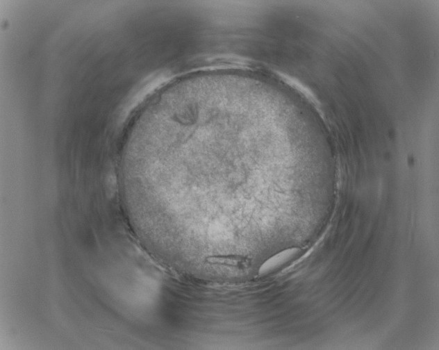 X0000064731407200603131241