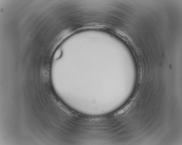 X0000064731409200603131241