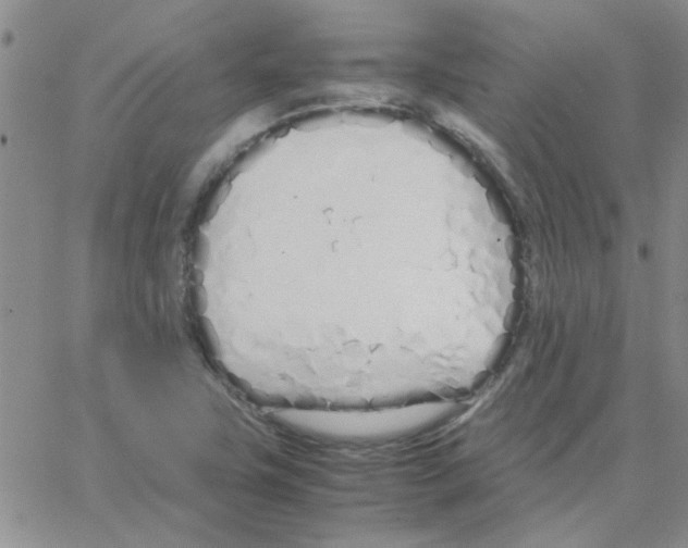 X0000064731411200603131241