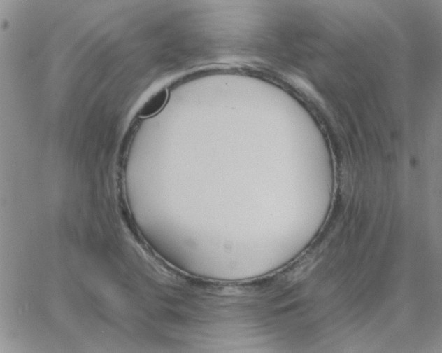 X0000064731412200603131242