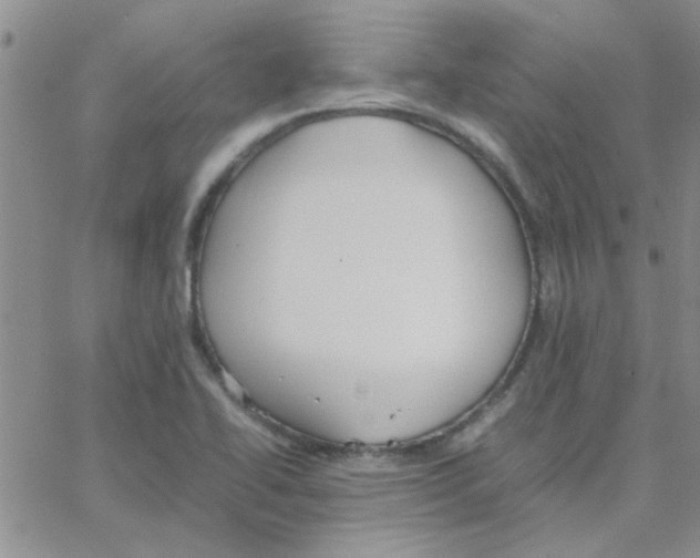 X0000064731414200603131242