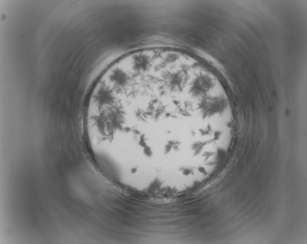 X0000064731415200603131242