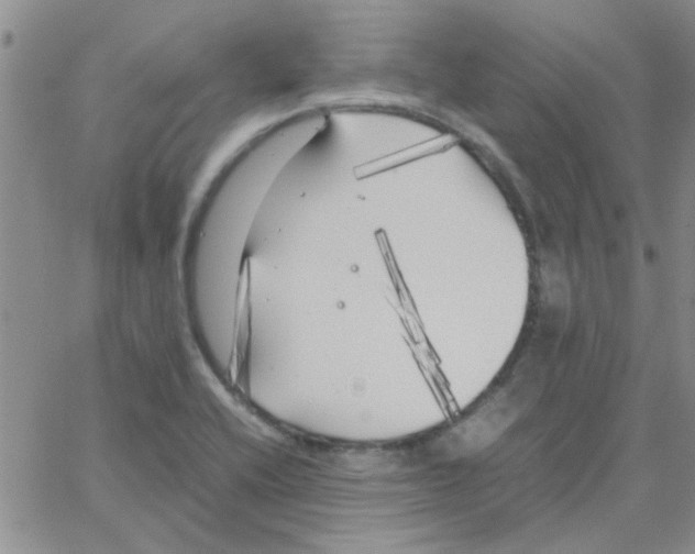 X0000064731416200603131242