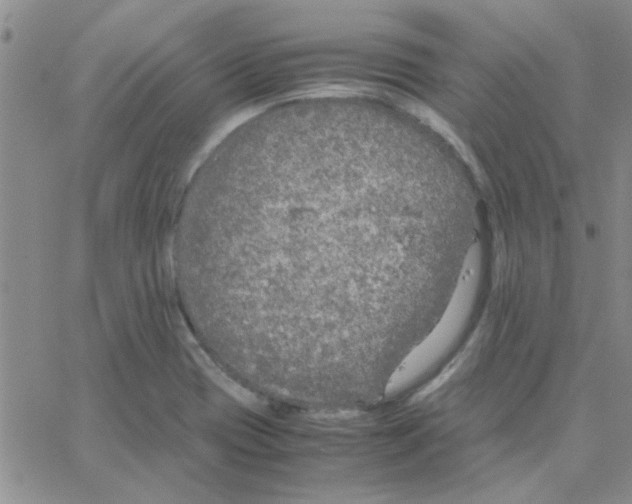 X0000064731417200603131242