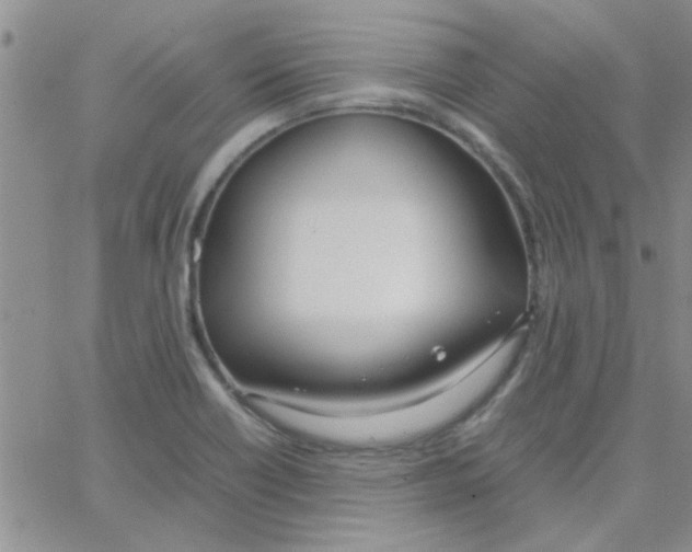 X0000064731418200603131242