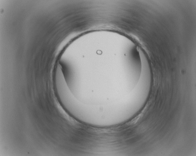 X0000064731422200603131242