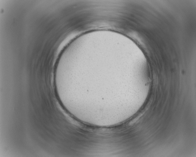 X0000064731424200603131242