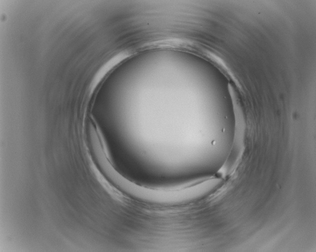 X0000064731426200603131242