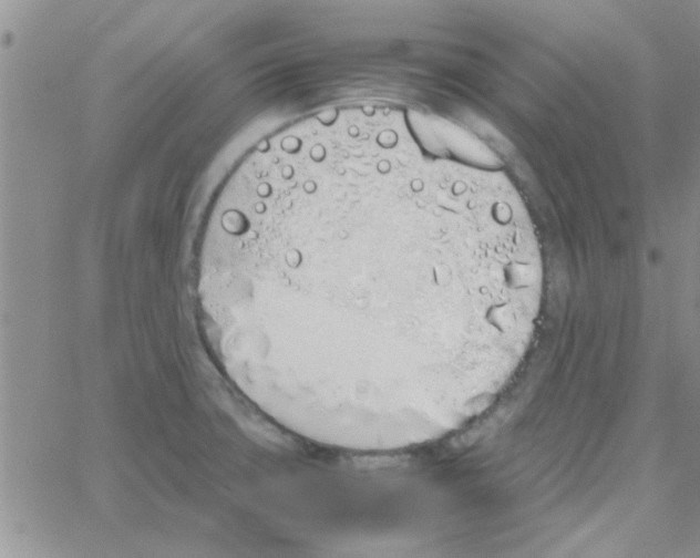 X0000064731427200603131242