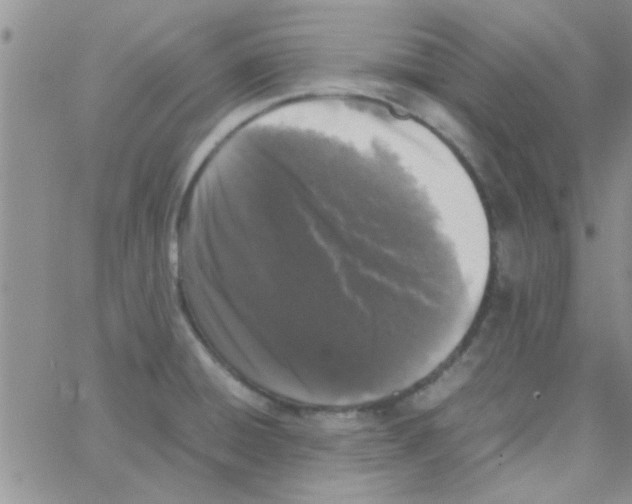 X0000064731428200603131242