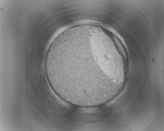 X0000064731429200603131242