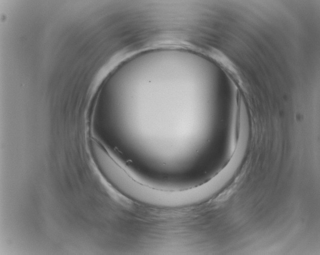 X0000064731430200603131242