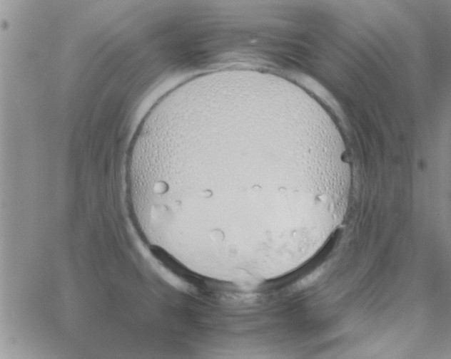 X0000064731431200603131242