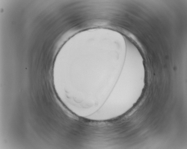 X0000064731432200603131242