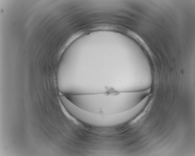 X0000064731433200603131242