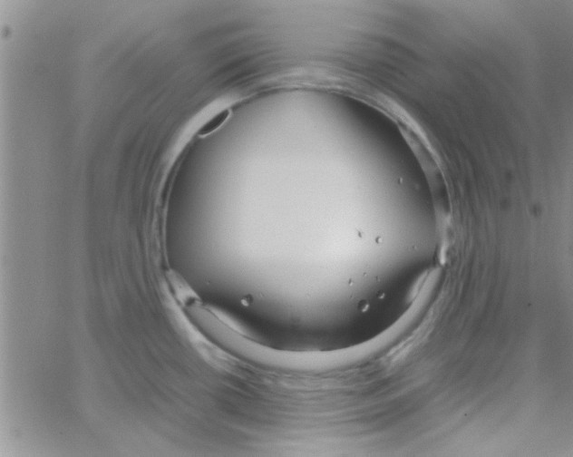 X0000064731434200603131242